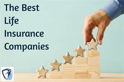 twitter public agent|6 Top Life Insurance Companies for June 2024: Reviews.